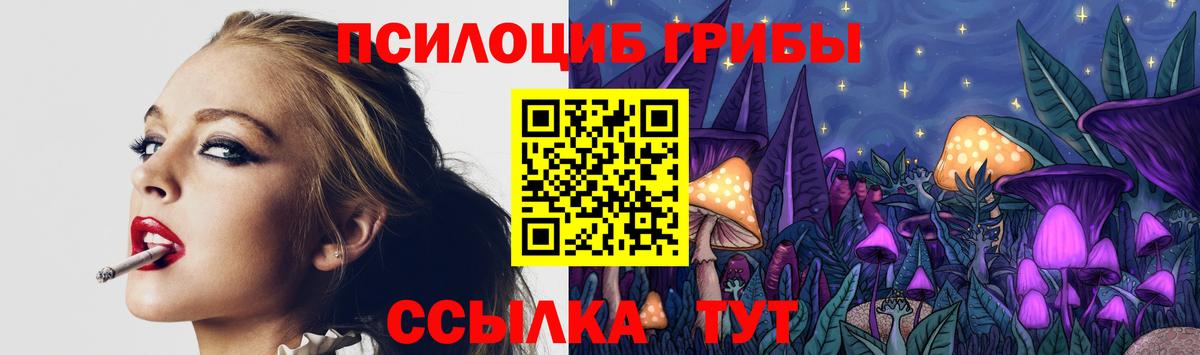 Туапсе  Псилоцибиновые грибы Magic Shrooms  Вход с VPN 